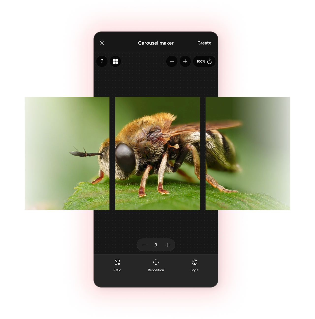 The Photospec carousel maker splitting a macro bee photo across three slides