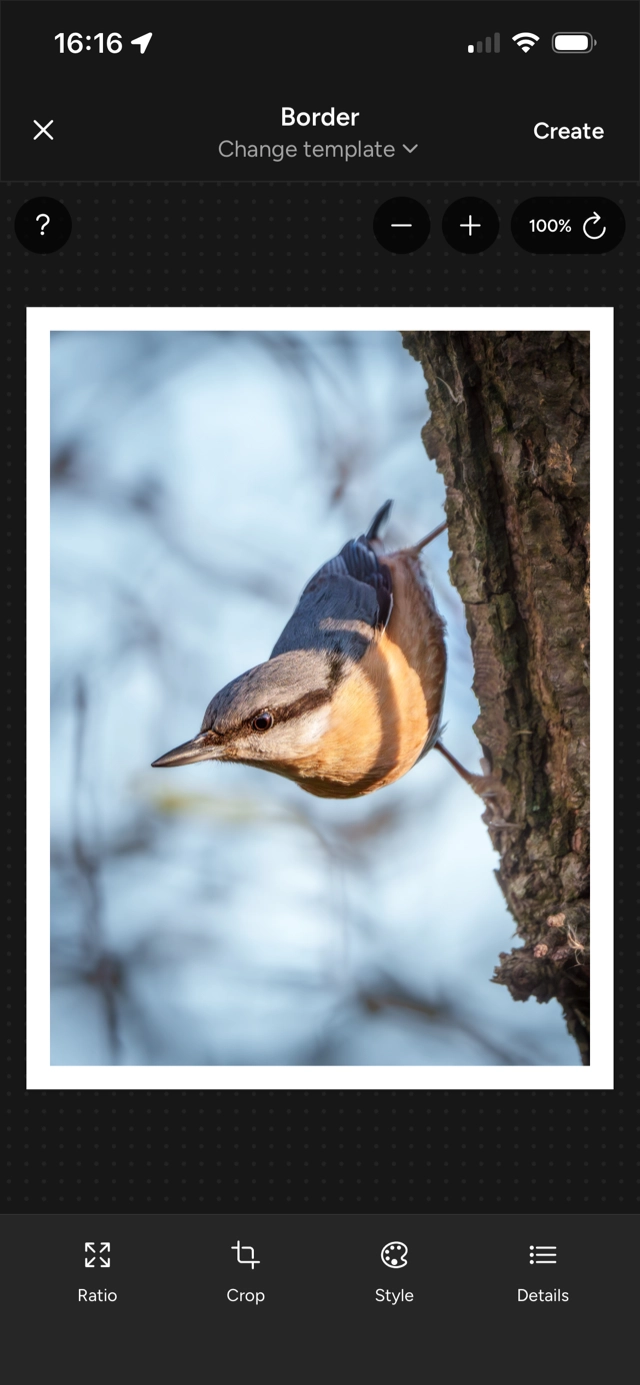 Photospec border template framing a bird photo with a clean white border