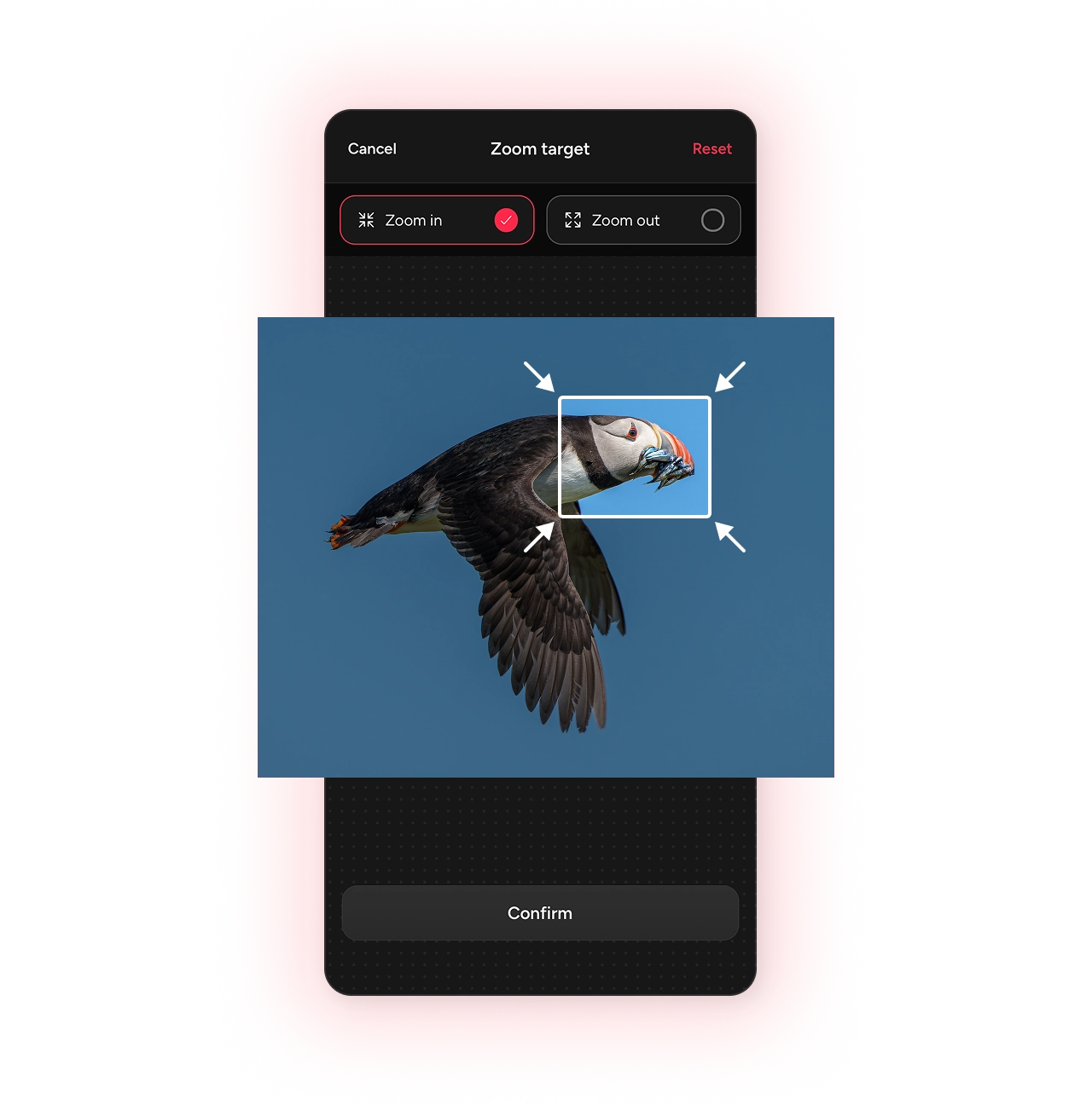 Setting a zoom target on a puffin photo in the Photospec app